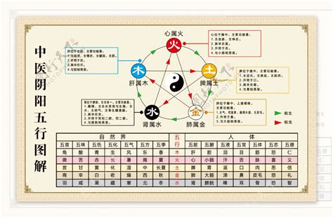 阴阳五行